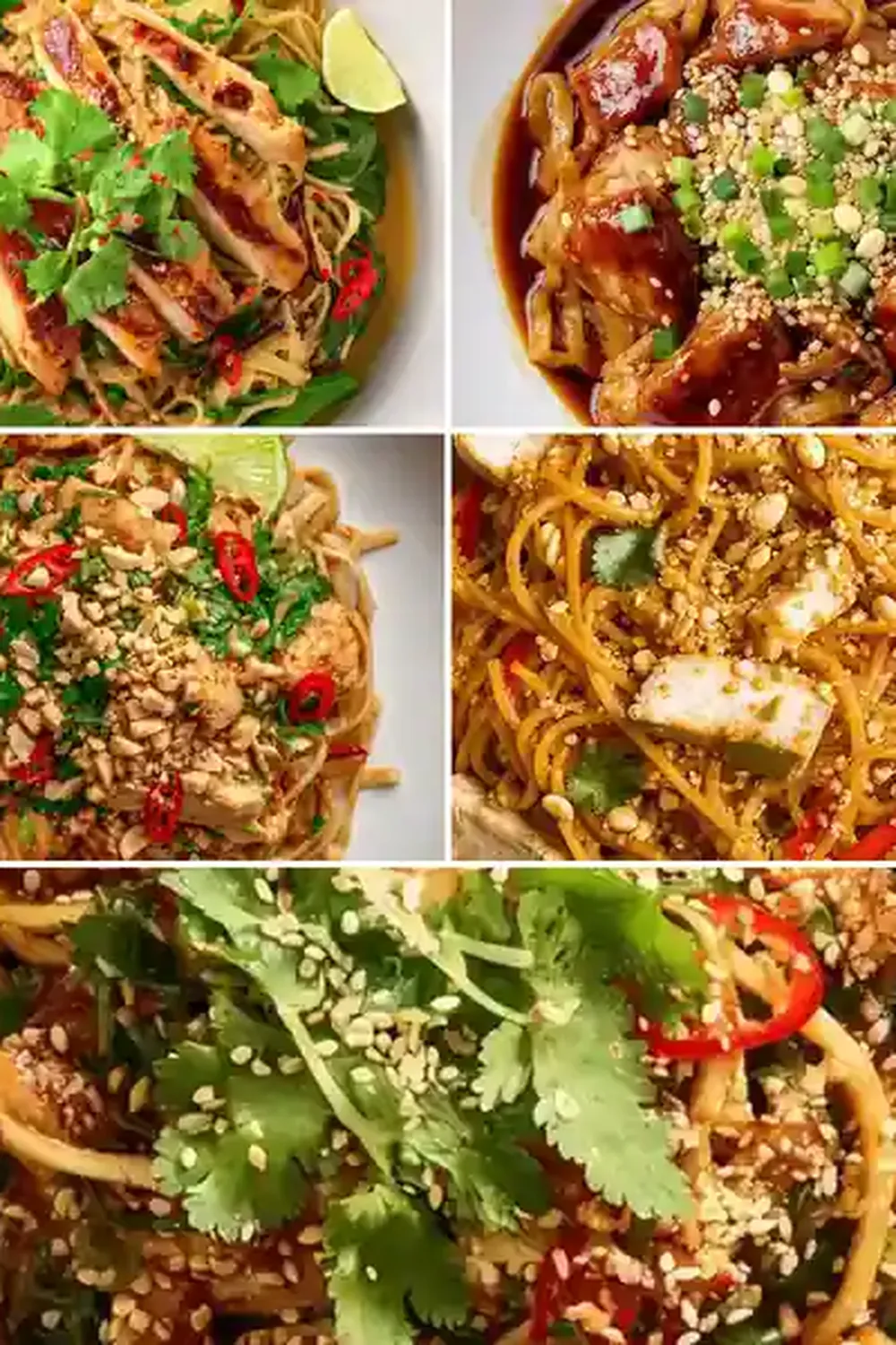 Spicy Peanut Chicken Noodle Bowls