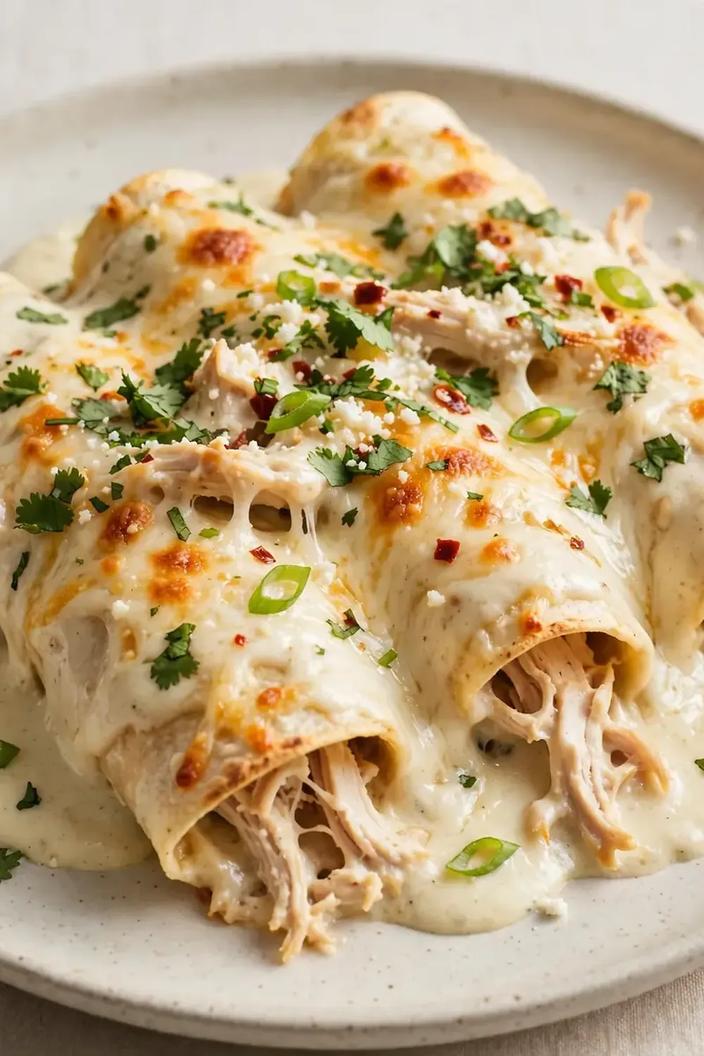 Creamy Chicken Enchiladas