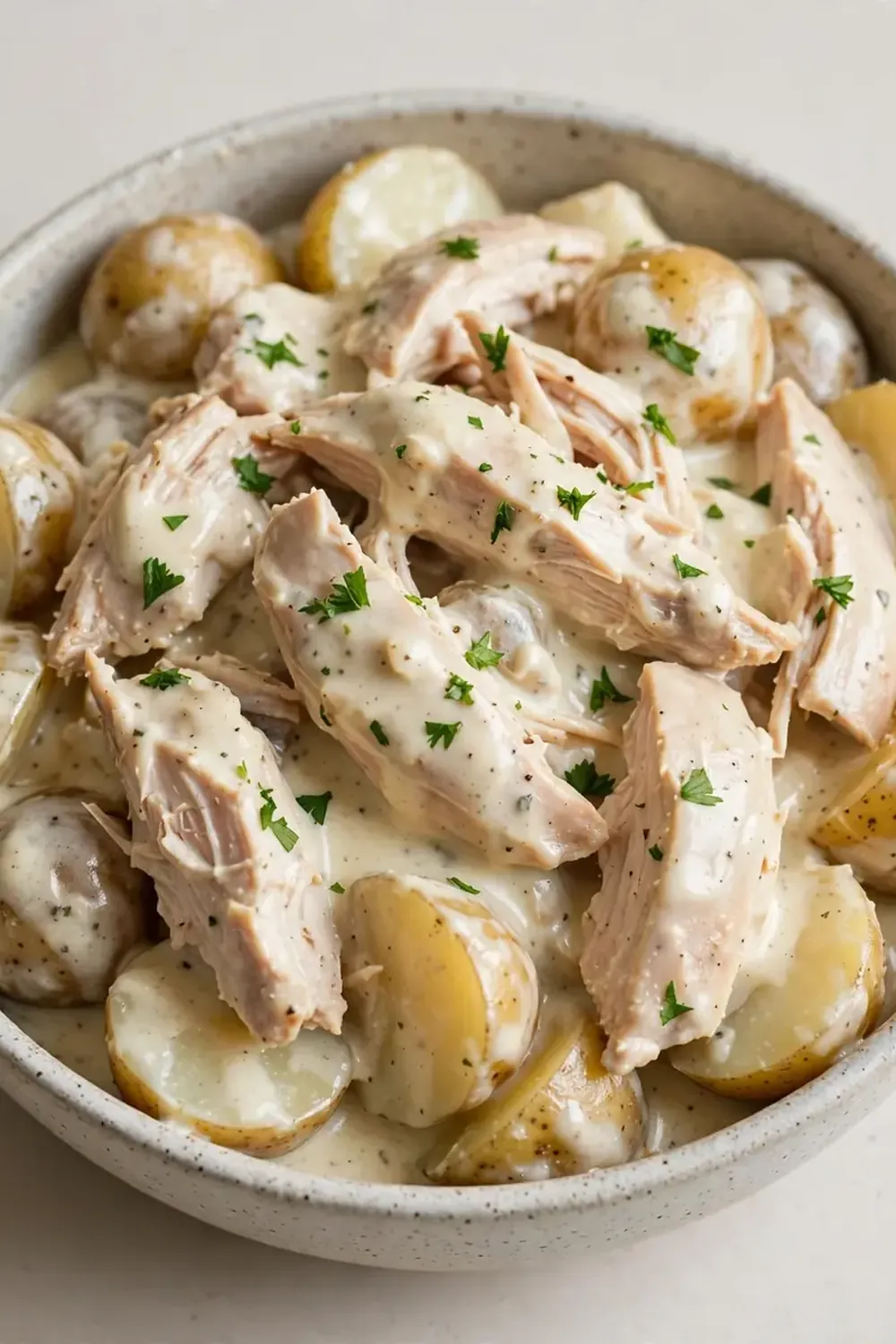 Crockpot Creamy Chicken and Potatoes