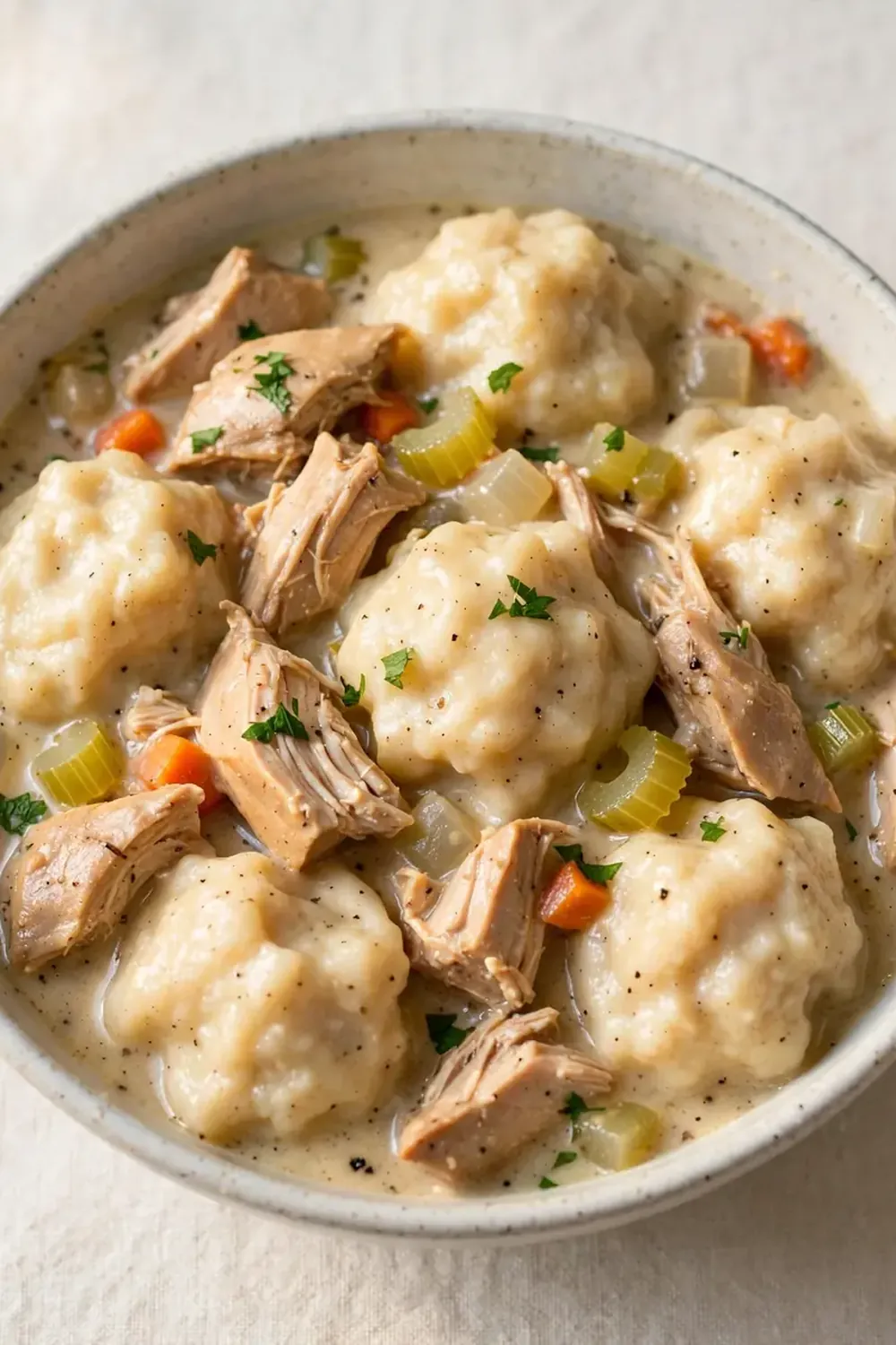 Southern Chicken and Dumplings